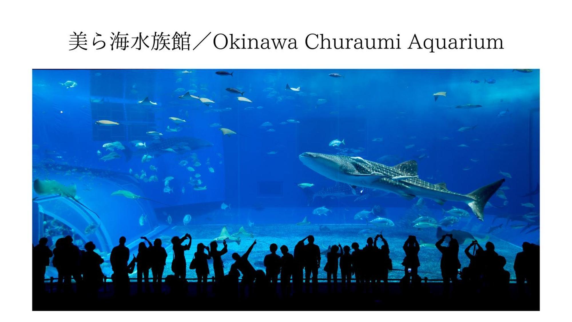 Aqua Shallows Onna Zewnętrze zdjęcie